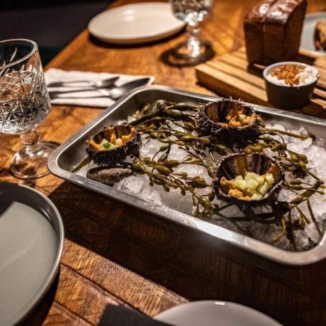 Клуб знакомств «Дуэт»: Тур "Сияние Севера: Мурманск +Северное Сияние +Кольский полуостров"