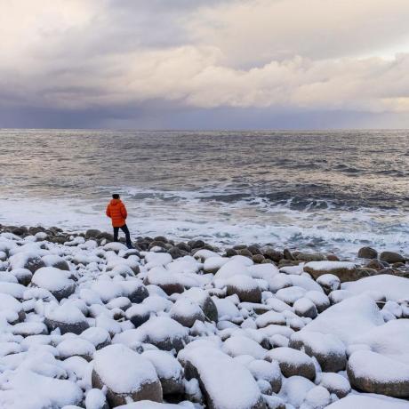 Клуб знакомств «Дуэт»: Тур "Сияние Севера: Мурманск +Северное Сияние +Кольский полуостров"
