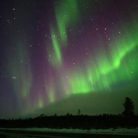 Клуб знакомств «Дуэт»: Тур "Сияние Севера: Мурманск +Северное Сияние +Кольский полуостров"